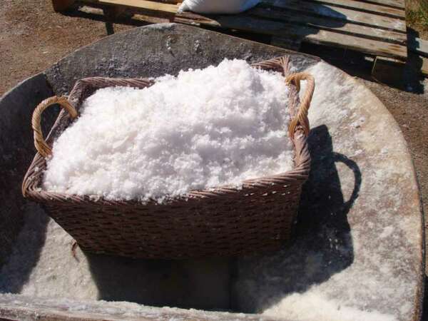 Lancement du projet de modernisation de la production du sel au Benin